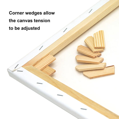 Artist Stretched Canvas, 24"X30", 2 Pack, 100% Cotton Acid Free, White, Deluxe Canvas, for All Skill Levels